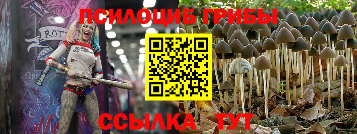 Галлюциногенные грибы Psilocybine cubensis  Галлюциногенные грибы MAGIC MUSHROOMS  дарнет шоп  Корсаков  Вход с VPN 