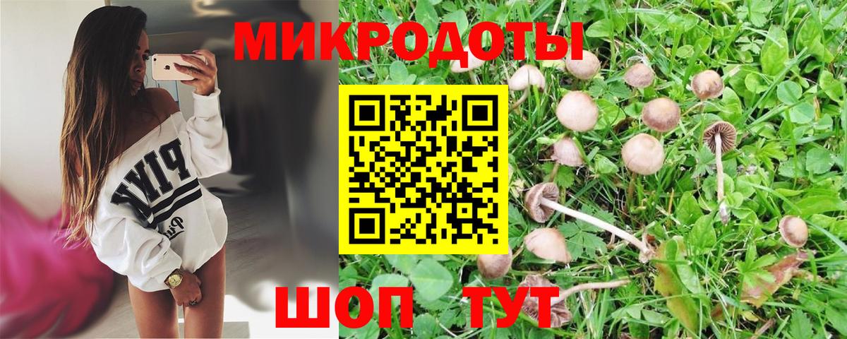 Галлюциногенные грибы MAGIC MUSHROOMS Корсаков
